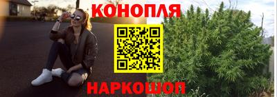 мдпв Можга