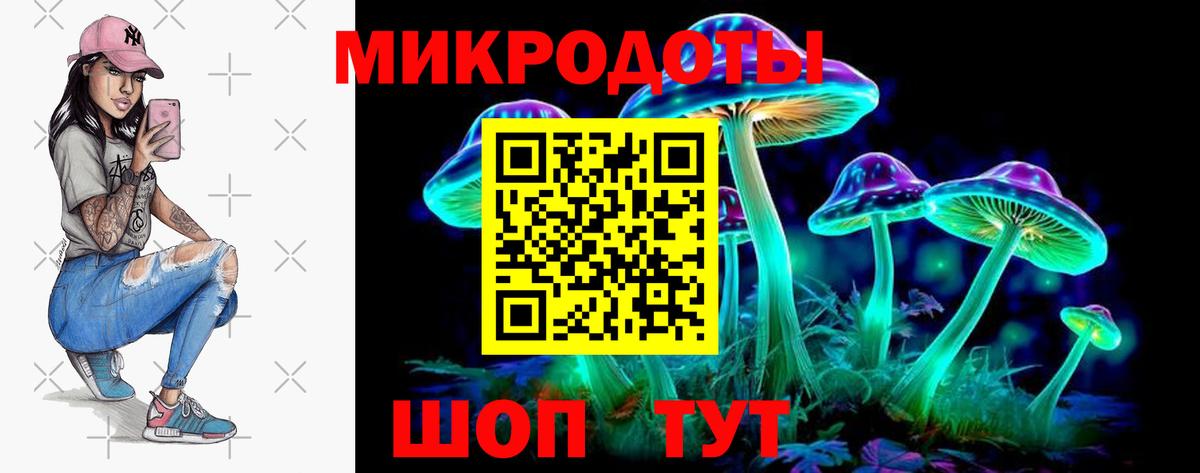 дарнет шоп  Галлюциногенные грибы мицелий  Вход с VPN  Петропавловск-Камчатский 